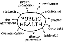 Public Health graph